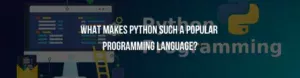 Python